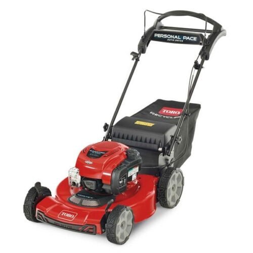 Toro Recycler Self-Propelled Mower 163cc Briggs & Stratton 7.25 TP (22") #21462